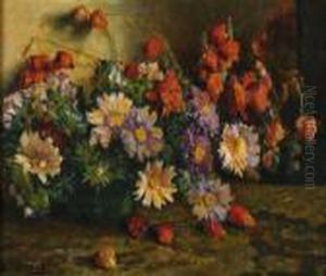 Veelkleurige Margrieten En Lampionbloemen Veelkleurige Margrieten En Lampionbloemen