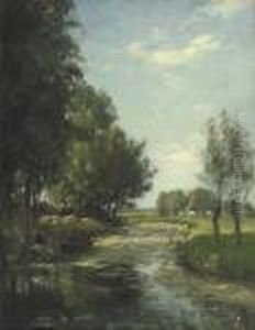 Fishing On A Sunny Day