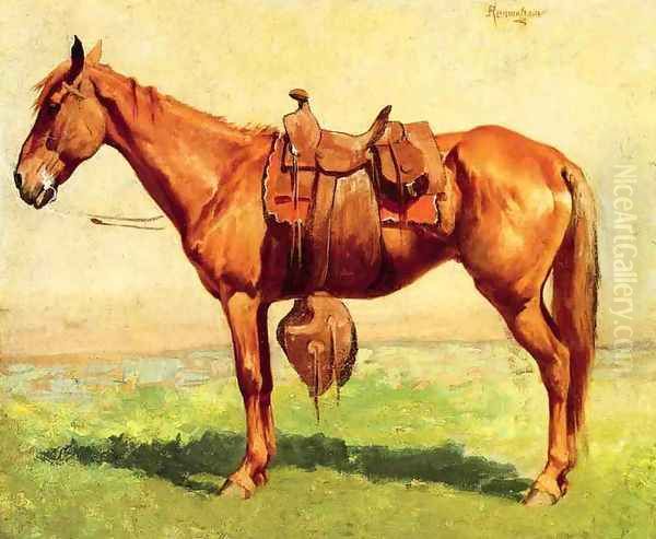 Cow Pony - view 1
