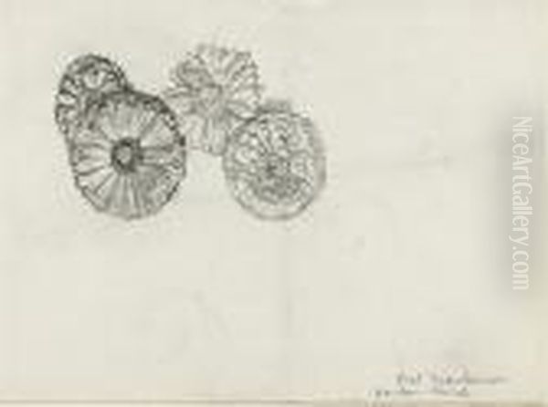 Study Of Four Marigolds - view 1