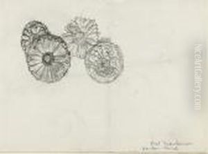 Study Of Four Marigolds