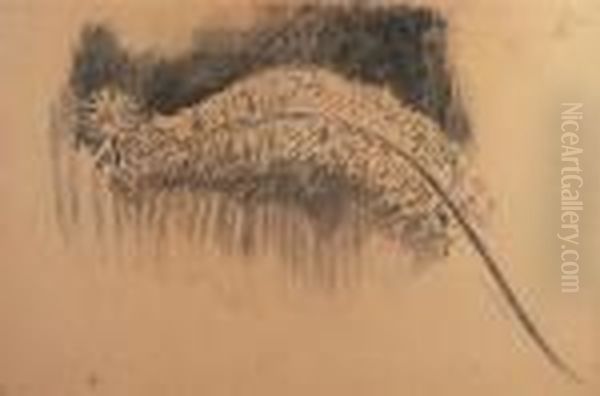 Untitled - view 1