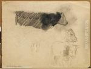 Etude De Vaches