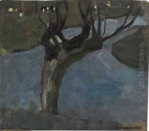 Irrigation Ditch With Mature Willow