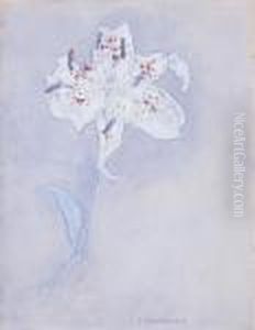 Lily by Piet Mondrian