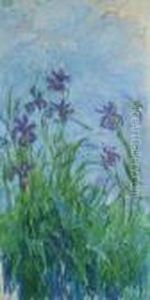 Iris Mauves