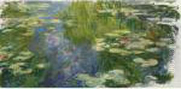 Le Bassin Aux Nympheas - view 1