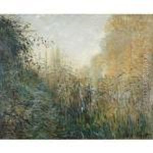 Etude De Joncs by Claude Oscar Monet