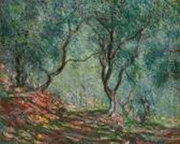 Bois D'oliviers Au Jardin Moreno - view 1