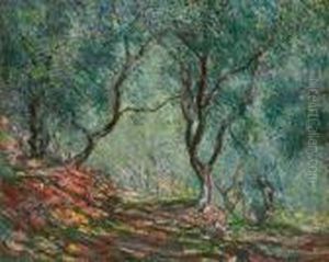 Bois D'oliviers Au Jardin Moreno