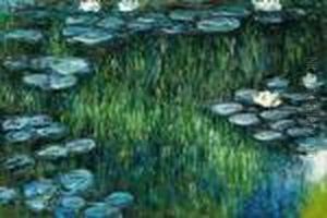 Nympheas by Claude Oscar Monet