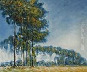 Poplars Poplars