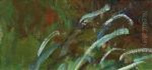Les Herbes Aquatiques by Claude Oscar Monet