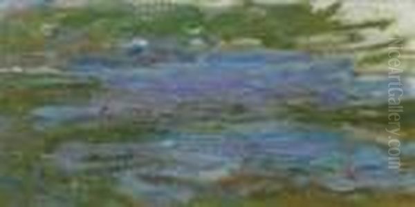 Nympheas - view 1