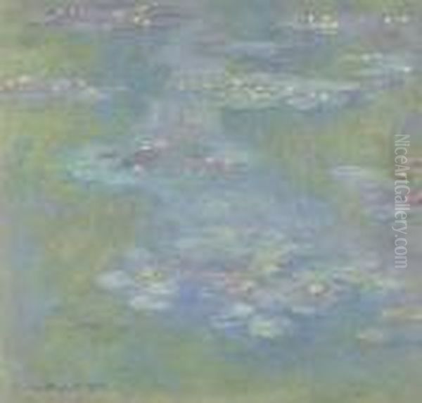 Nympheas - view 1