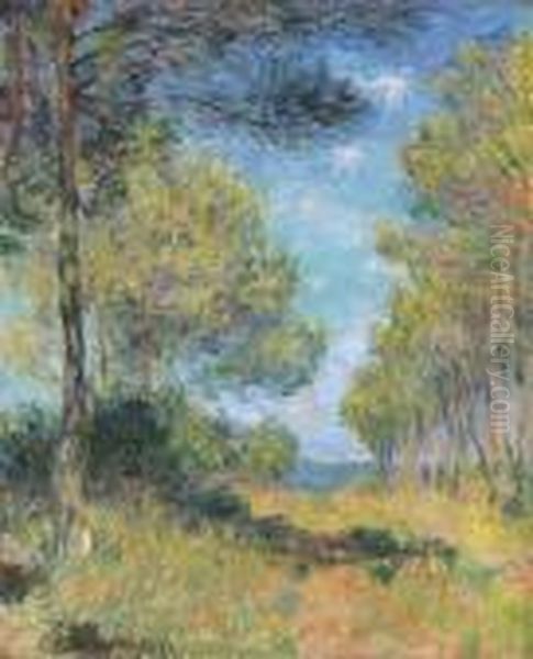 Allee De Sapins A Varengeville - view 1
