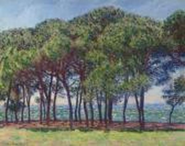 Pins, Cap D'antibes - view 1