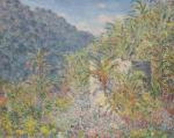 Vallee De Sasso - view 1
