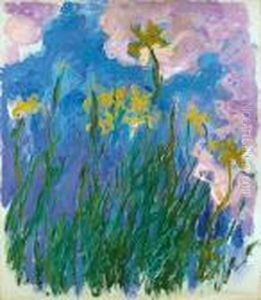 Iris Jaunes, 1924-1925