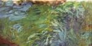 Herbes Aquatiques by Claude Oscar Monet