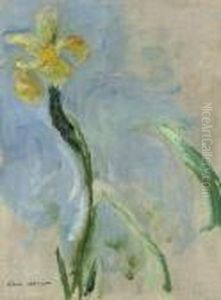 Iris Jaune