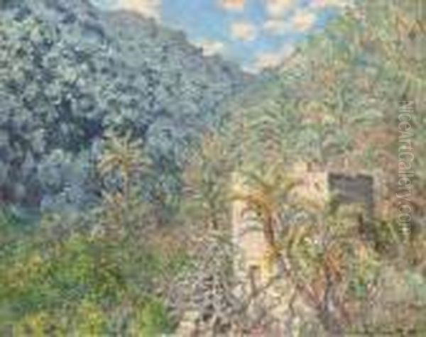 Oliviers Et Palmiers, Vallee De Sasso - view 1