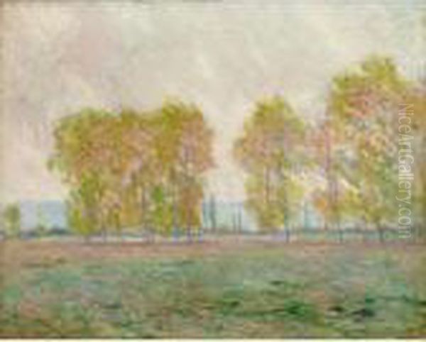 Les Peupliers - view 1