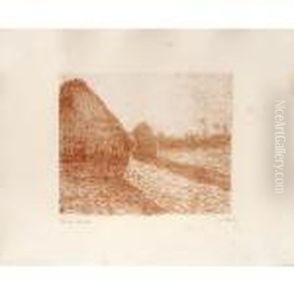 (haystack) - view 1