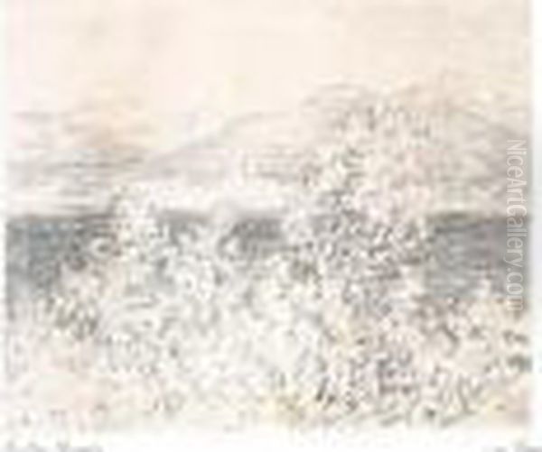 (lake) - view 1