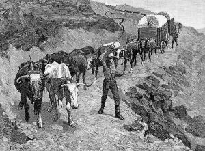 An Ox Train in the Mountains by Frederic Remington
