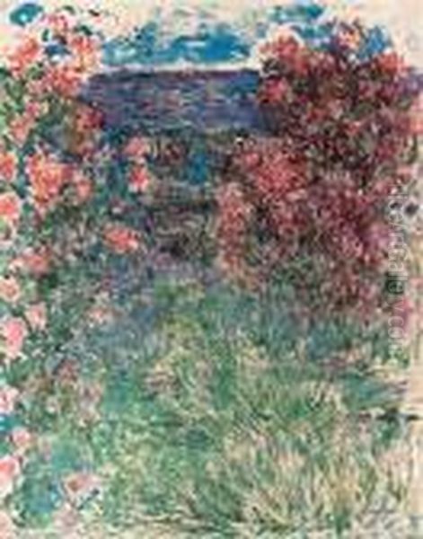 La Maison Dans Les Roses - view 1