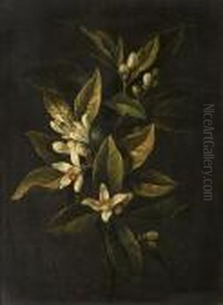 Still Life Of Roses - view 1