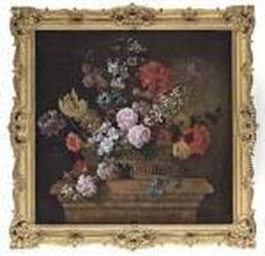 Still Life