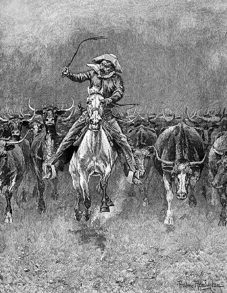 In a Stampede - view 1