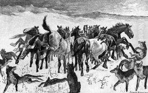 Broncos and Timber Wolves