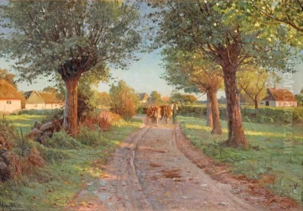 Summer Evening - view 1