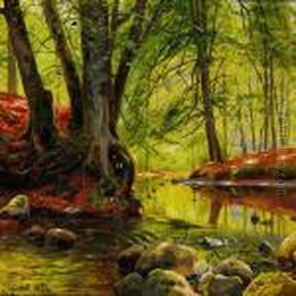Stream In The Woods, Springtime - view 1