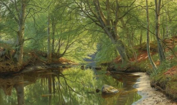 Forest Stream - view 1