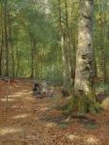 The Woodland Glade