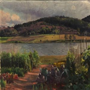 Summer Day At The Silkeborg Lakes Near Virklund