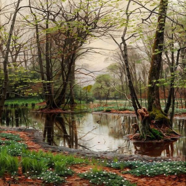 Spring Day In The Forest With Beeches And Anemones In Bloom Near A Stream - view 1