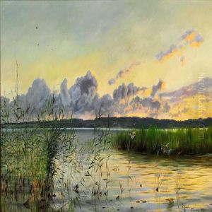 Late Afternoon At Esrum Lake Near Fredensborg