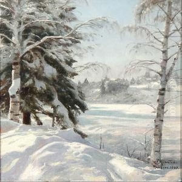 Winter Scene From Raufoss, Norway - view 1