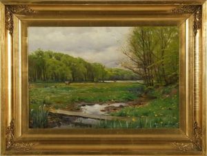 A Winding Stream In A Flowering Meadow