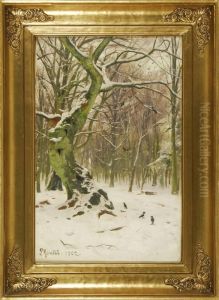 Forest Landscape In Winter