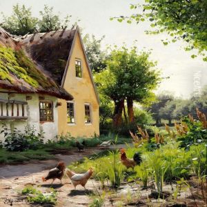 Summer Day With Chickens In The Backyard Of A Farm