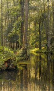 Forest Brook