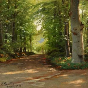 Summer Day On A Forest Road In Enrum, Denmark