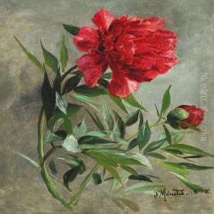 Still Life With Peonies