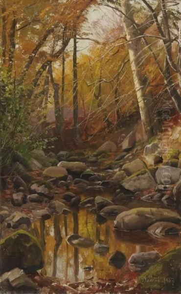 Herbstlicher Waldbach - view 1